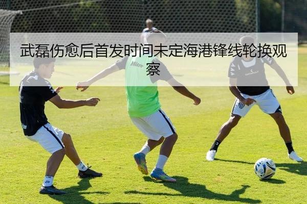 img_1788797644591_76_0_572.jpg（StarskySports）